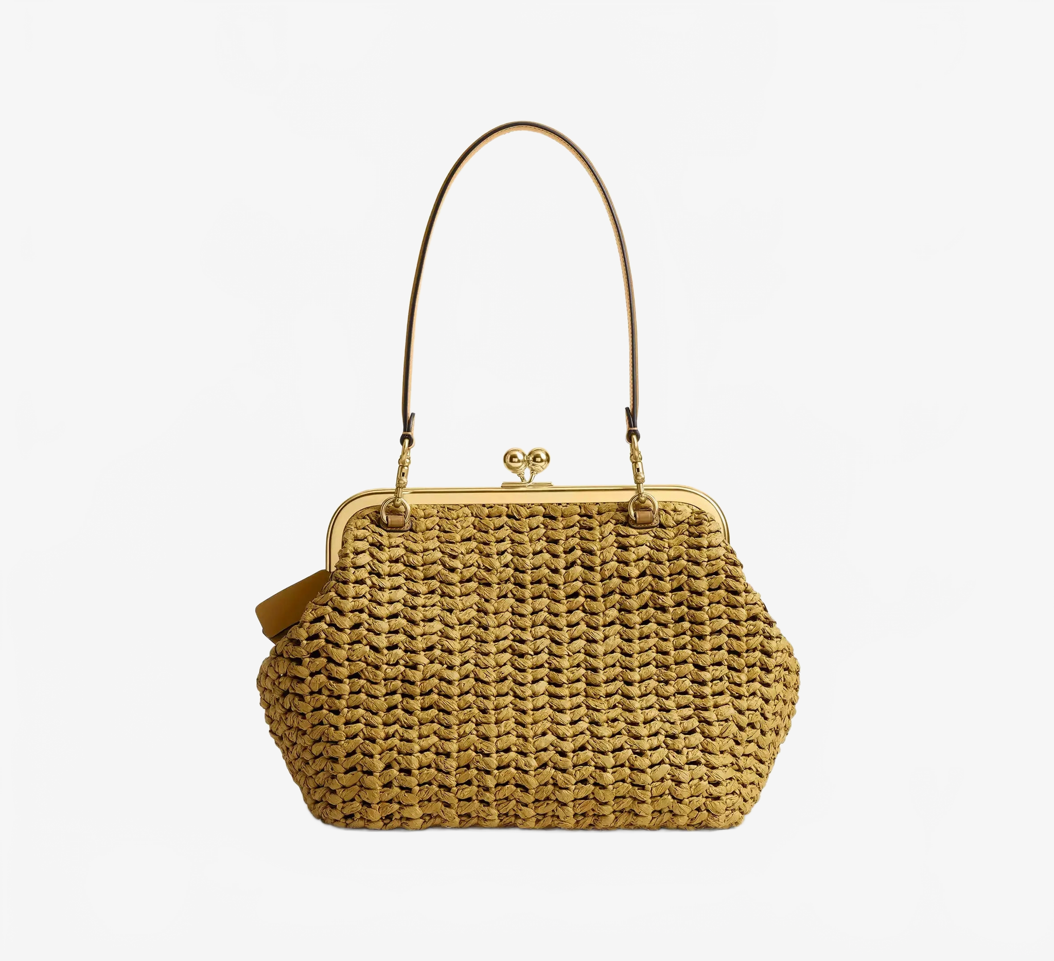 Coach Women's Kisslock Frame Bag 27 Coach